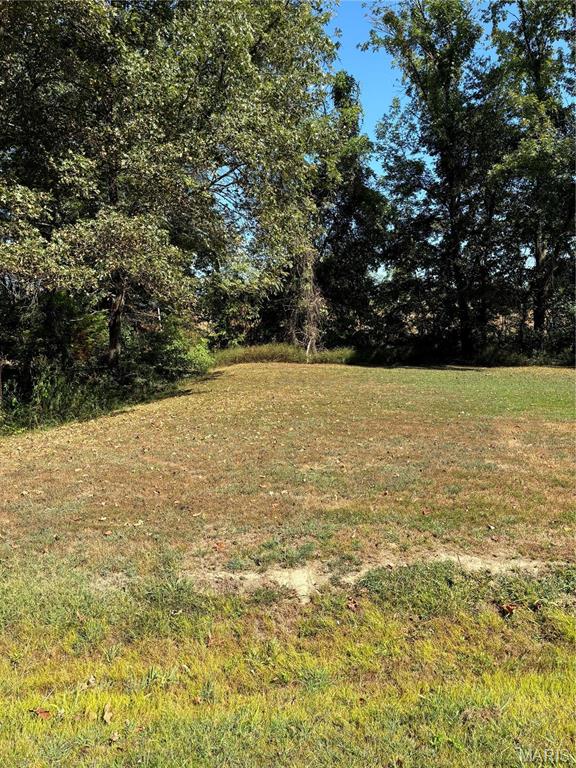 0 State Highway Chaffee, MO 63740 - Photo 12 of 18