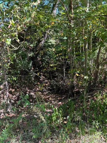 $29,900 | 0 State Highway, Chaffee, MO 63740