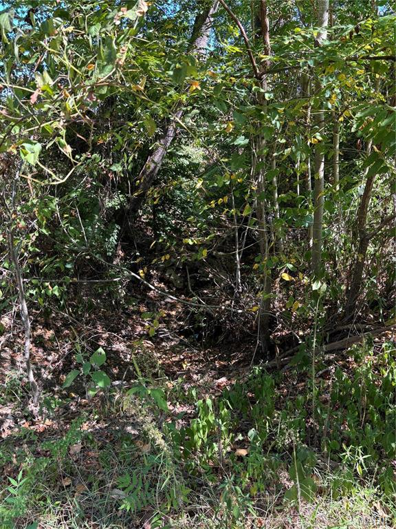 0 State Highway Chaffee, MO 63740 - Photo 18 of 18