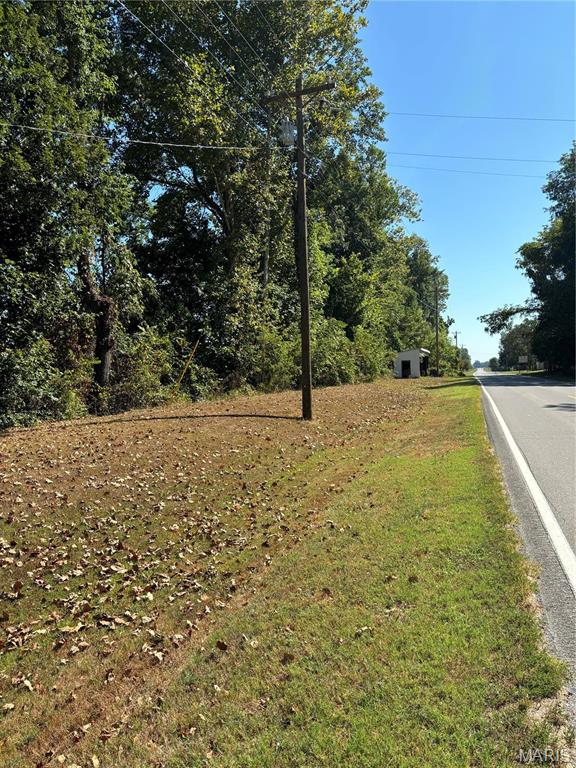 0 State Highway Chaffee, MO 63740 - Photo 3 of 18