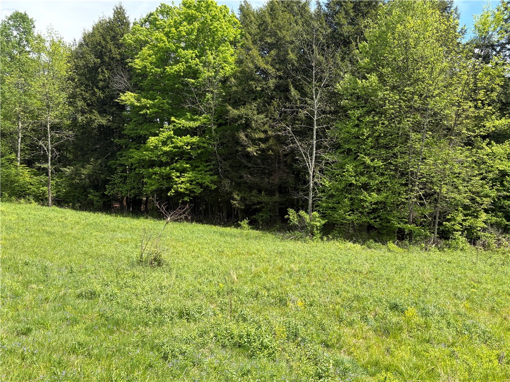 46 County Road Norwich, NY 13815 - Photo 22 of 27