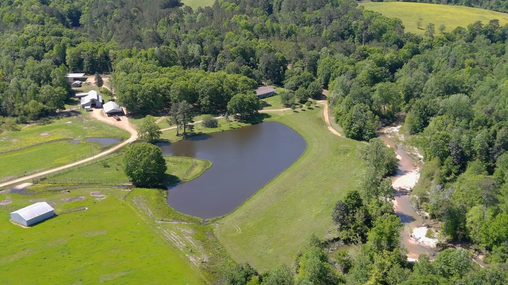 2019 Patsy Hill Road Tylertown, MS 39667 - Photo 51 of 75 Photo 51