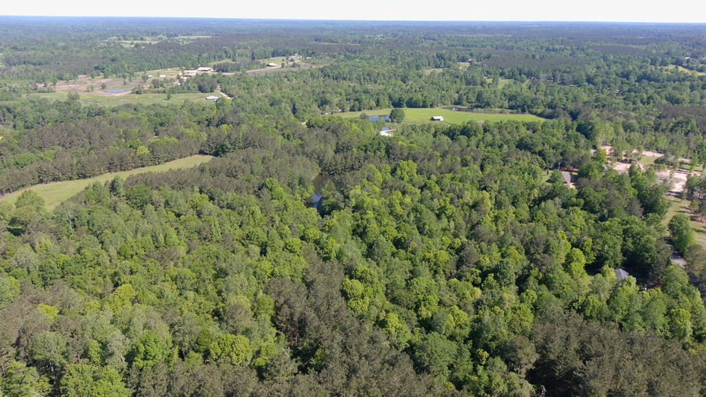 2019 Patsy Hill Road Tylertown, MS 39667 - Photo 59 of 75 Photo 59