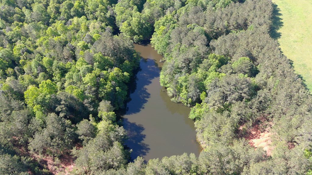 2019 Patsy Hill Road Tylertown, MS 39667 - Photo 60 of 75 Photo 60
