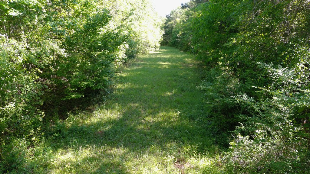 2019 Patsy Hill Road Tylertown, MS 39667 - Photo 62 of 75 Photo 62