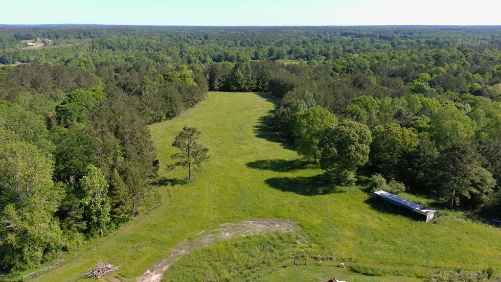 2019 Patsy Hill Road Tylertown, MS 39667 - Photo 63 of 75 Photo 63