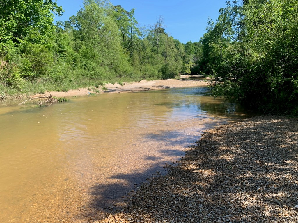 2019 Patsy Hill Road Tylertown, MS 39667 - Photo 69 of 75 Photo 69