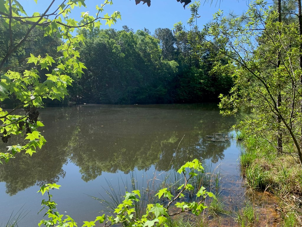 2019 Patsy Hill Road Tylertown, MS 39667 - Photo 72 of 75 Photo 72