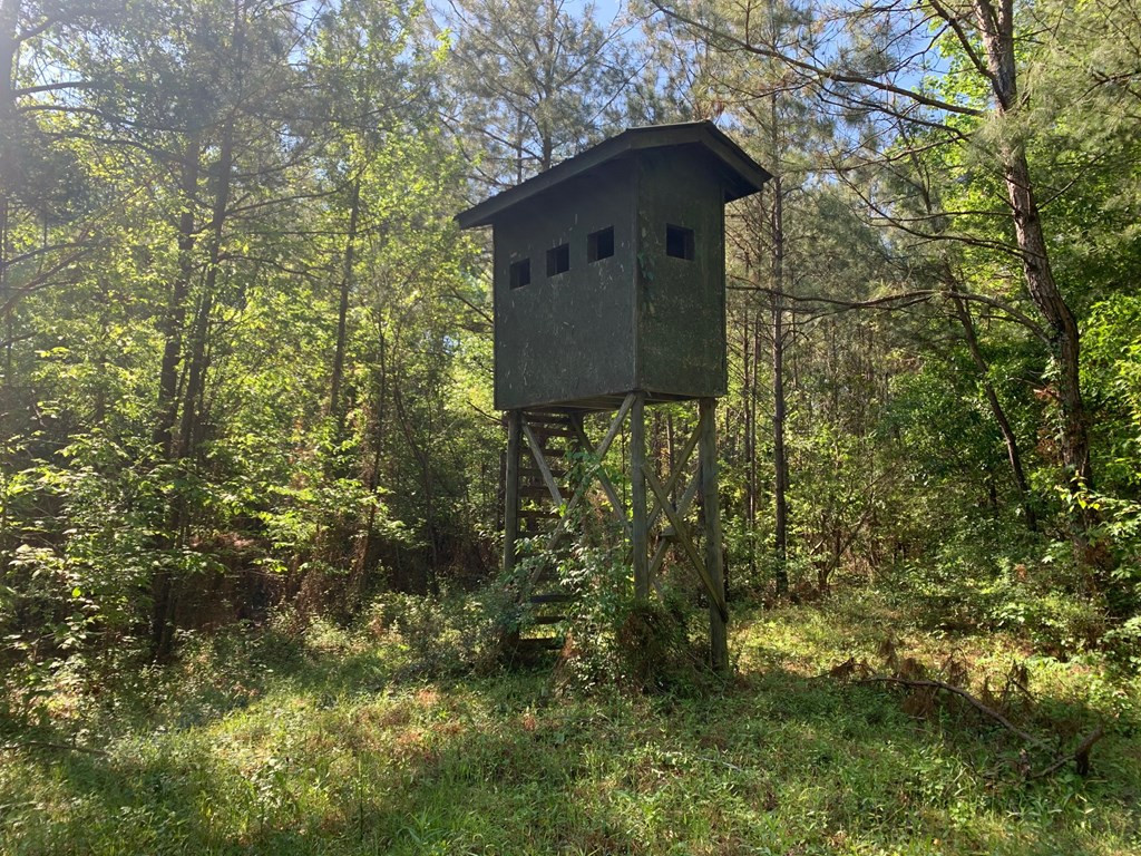 2019 Patsy Hill Road Tylertown, MS 39667 - Photo 73 of 75 Photo 73