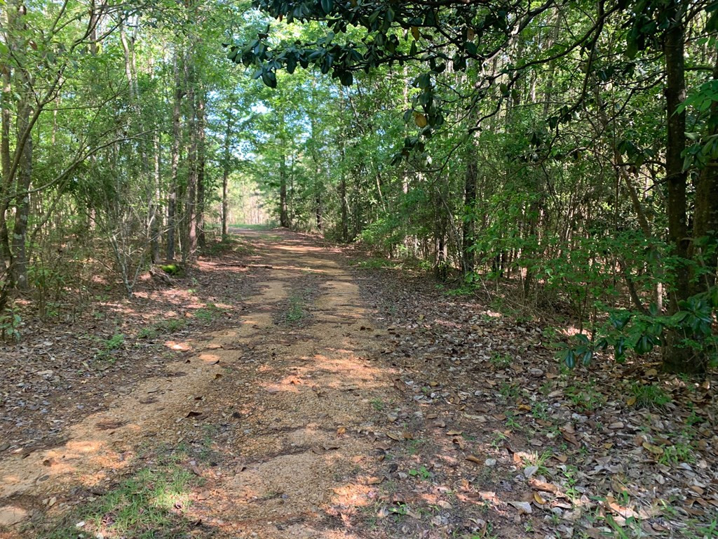 2019 Patsy Hill Road Tylertown, MS 39667 - Photo 75 of 75 Photo 75