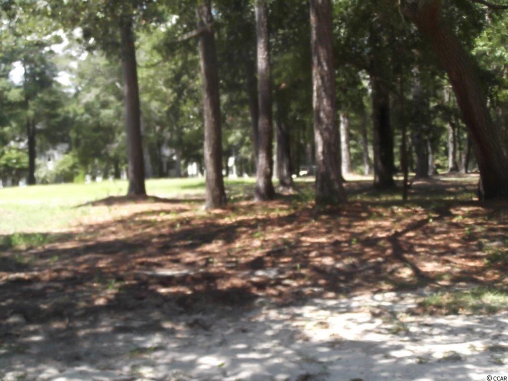 9221 Horseshoe Lake Road Southwest Calabash, NC 28467 - Photo 2 of 14