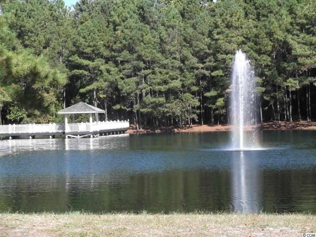 9221 Horseshoe Lake Road Southwest Calabash, NC 28467 - Photo 10 of 14