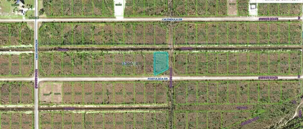 $40,000 | 502 Portulaca Drive, Indian Lake Estates, FL 33843
