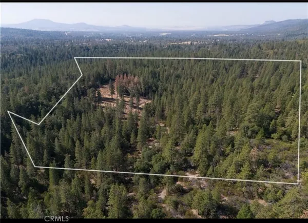 a view of a balcony with a forest