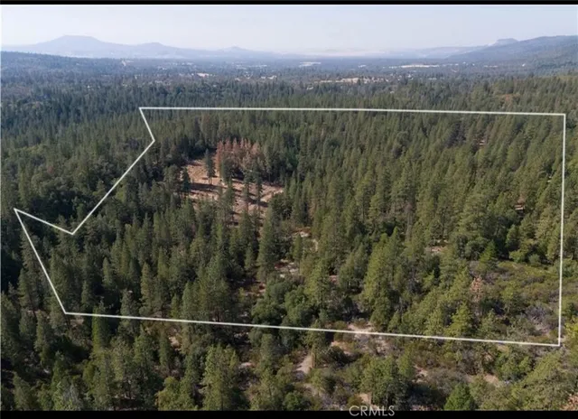a view of a city with lush green forest