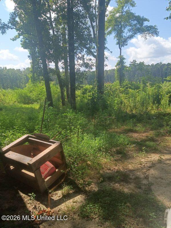 360 Revere Road Carthage, MS 39051 - Photo 22 of 26 e93zltehezwyatsuz4bqaphwd