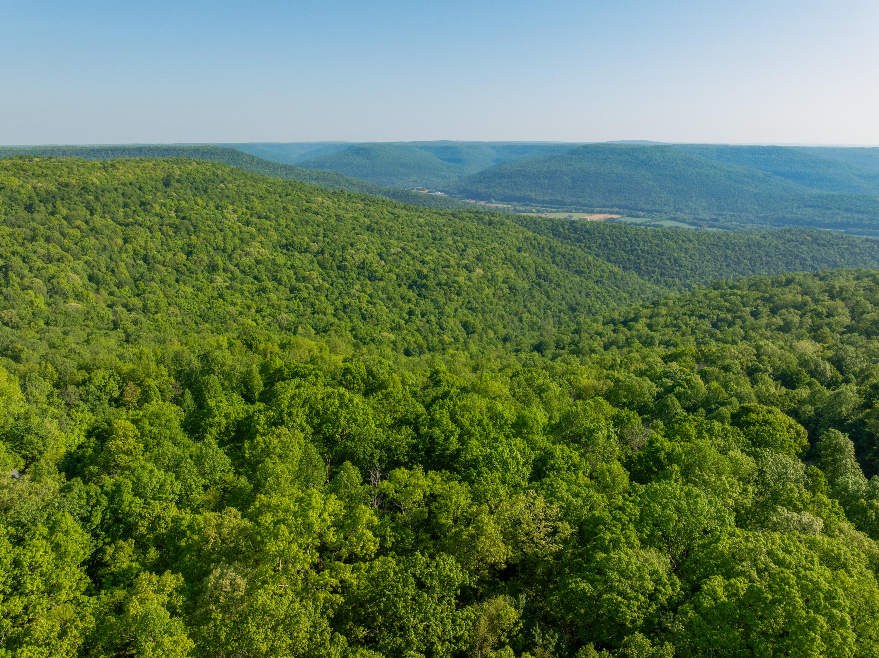 0 Jackson Point Road, Unit LOTS 3 & 4 Sewanee, TN 37375 - Photo 13 of 19 08 - 0 Jackson Point Rd - Drone