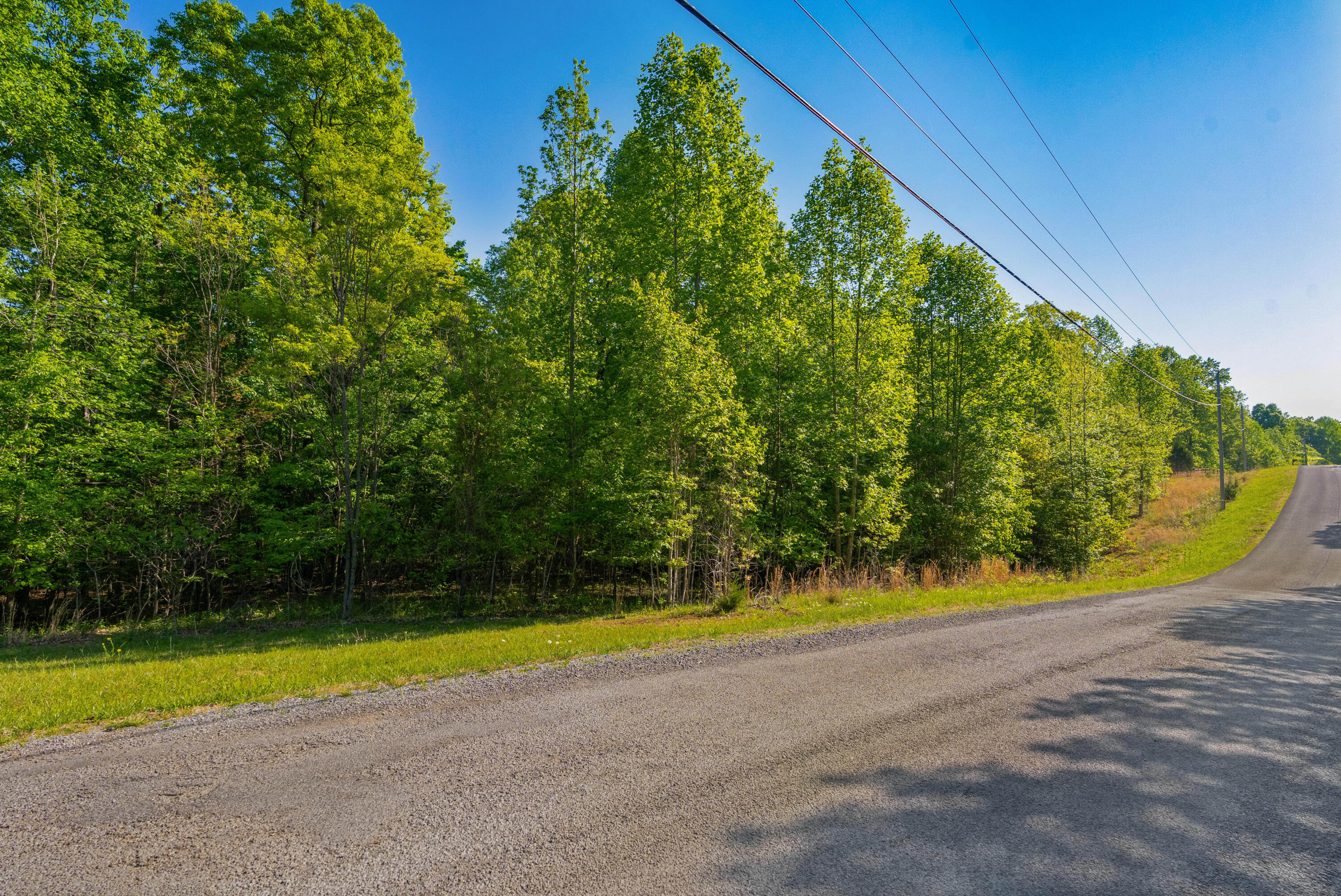 0 Jackson Point Road, Unit LOTS 3 & 4 Sewanee, TN 37375 - Photo 2 of 19 01 - 0 Jackson Point Rd - Ground