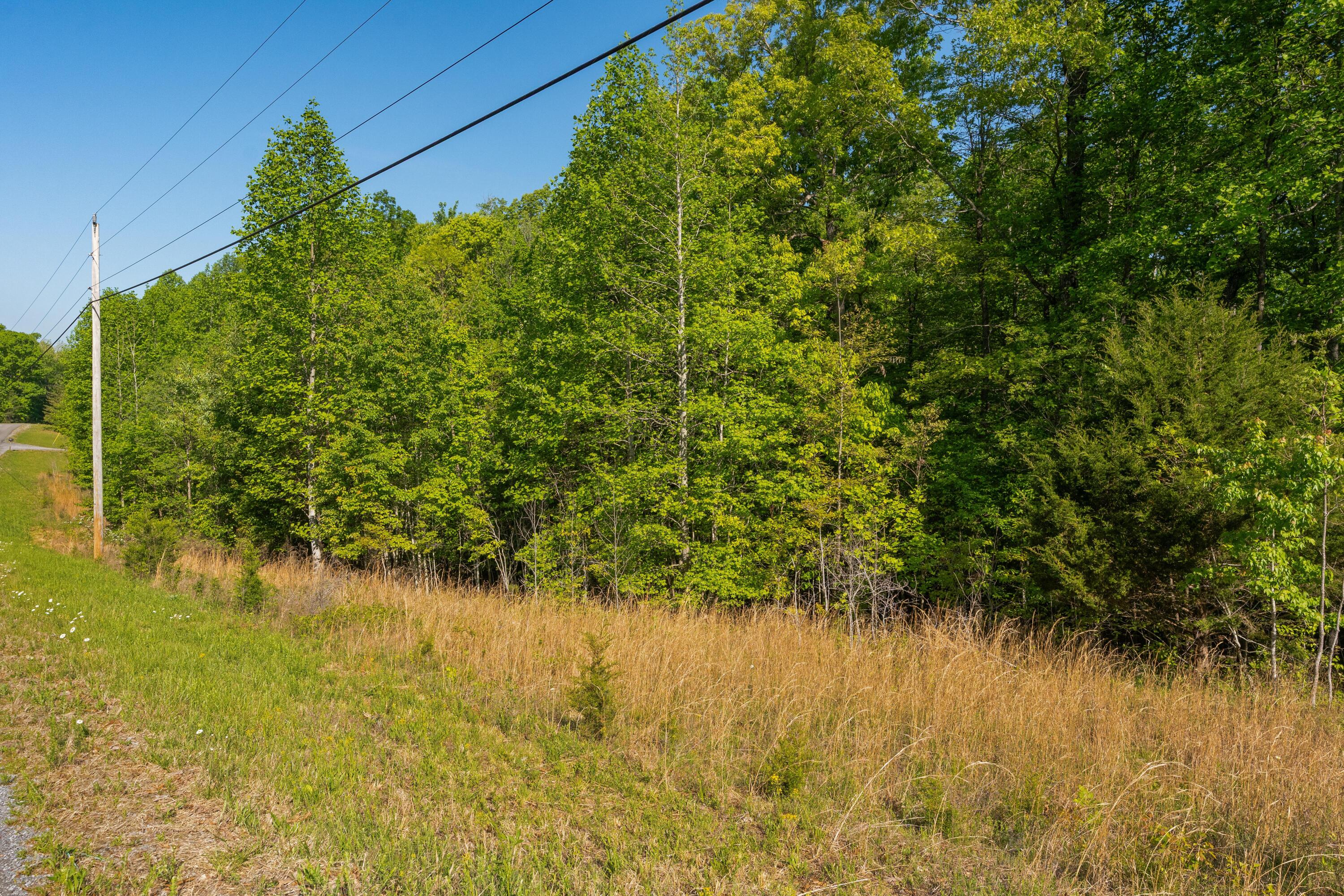 0 Jackson Point Road, Unit LOTS 3 & 4 Sewanee, TN 37375 - Photo 5 of 19 05 - 0 Jackson Point Rd - Ground