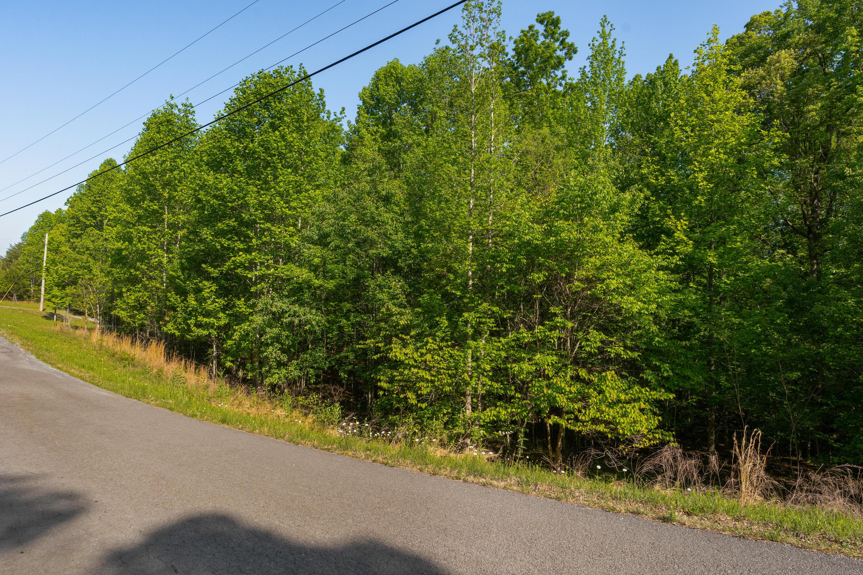 0 Jackson Point Road, Unit LOTS 3 & 4 Sewanee, TN 37375 - Photo 10 of 19 03 - 0 Jackson Point Rd - Ground