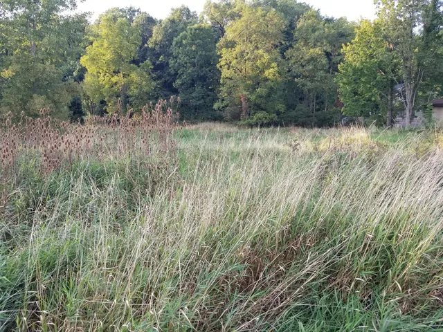 $12,000 | 7000 Surrey Drive, Onsted, MI 49265