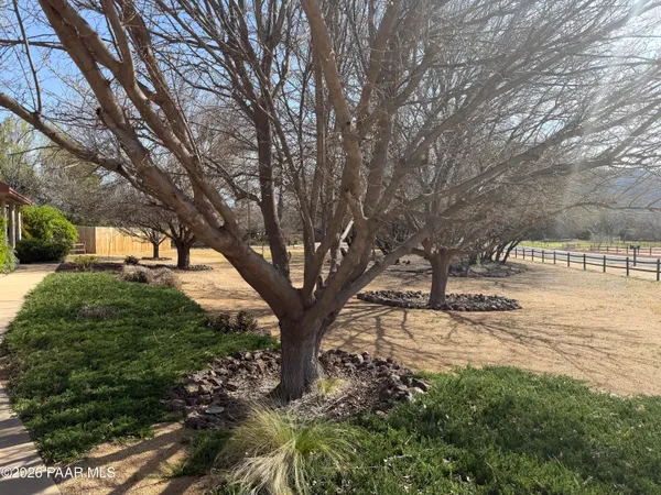 a view of a tree in front of a house