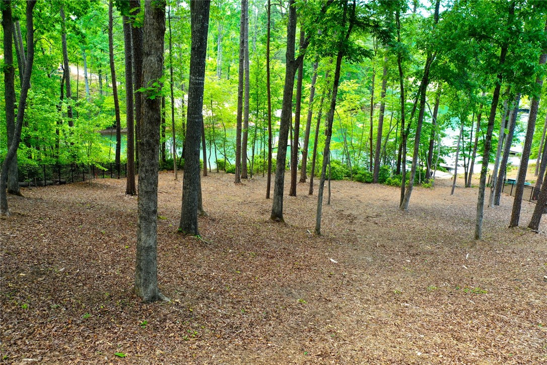 Lot 114 Harbor Point Seneca, SC 29672 - Photo 9 of 46 This tranquil wooded lot offers serene water views, perfect for a peaceful retreat.