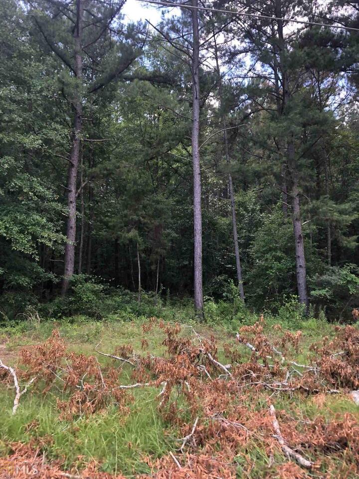 13-a-2 Clubhouse Road Eatonton, GA 31024 - Photo 1 of 1 Gallery Image 1