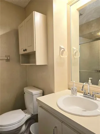 a bathroom with a sink a toilet and mirror