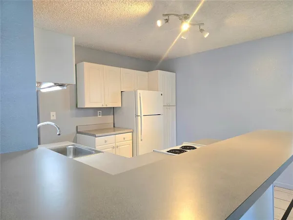 a kitchen with a refrigerator a sink and cabinets