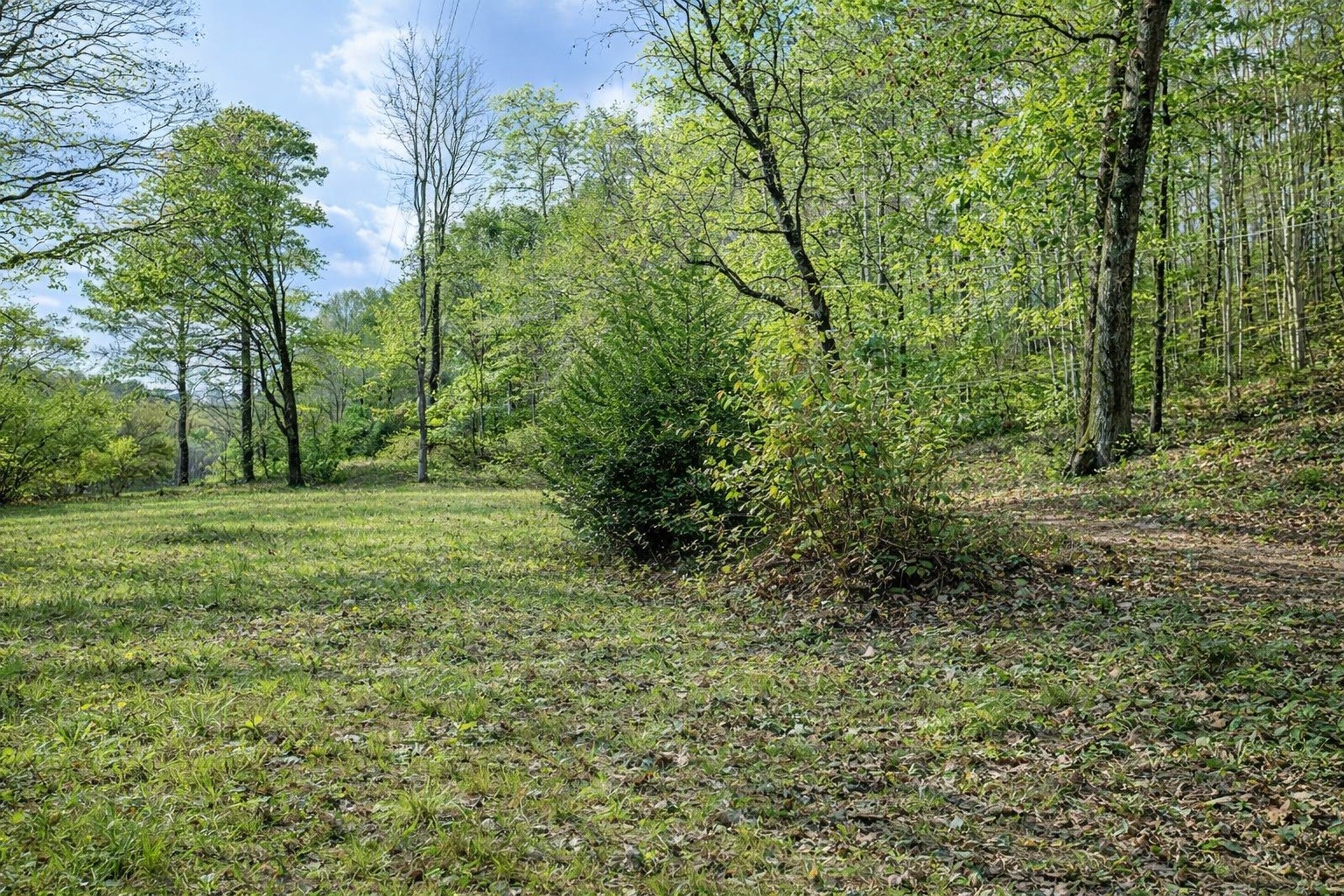 1135 West Mink Branch Road Waynesboro, TN 38485 - Photo 70 of 83