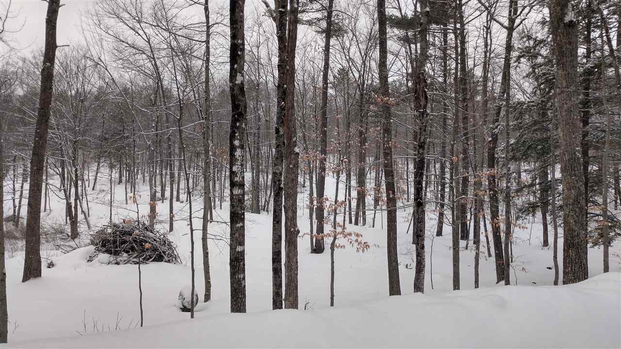36 King Rd Hill Hill, NH 03243 - Photo 1 of 3