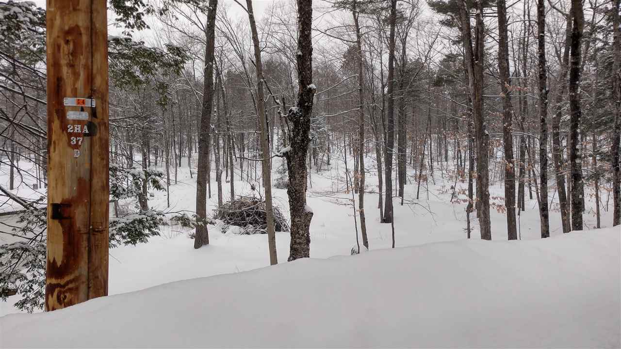 36 King Rd Hill Hill, NH 03243 - Photo 2 of 3