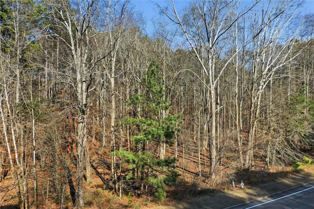 1600 Sixes Road Canton, GA 30114 - Photo 4 of 8 a view of a yard with plants and wooden fence