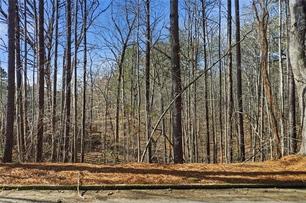 1600 Sixes Road Canton, GA 30114 - Photo 8 of 8 a view of house with a street