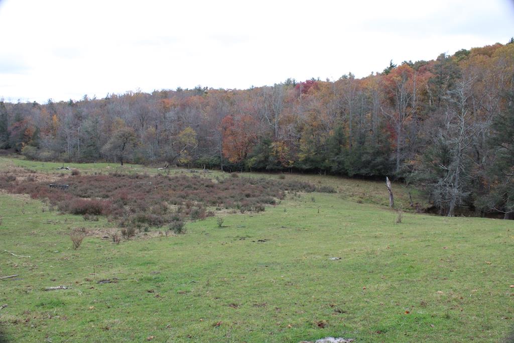 Tbd Terry's Mill Road, Unit 121A61 Laurel Fork, VA 24352 - Photo 7 of 71 Gallery Image 7