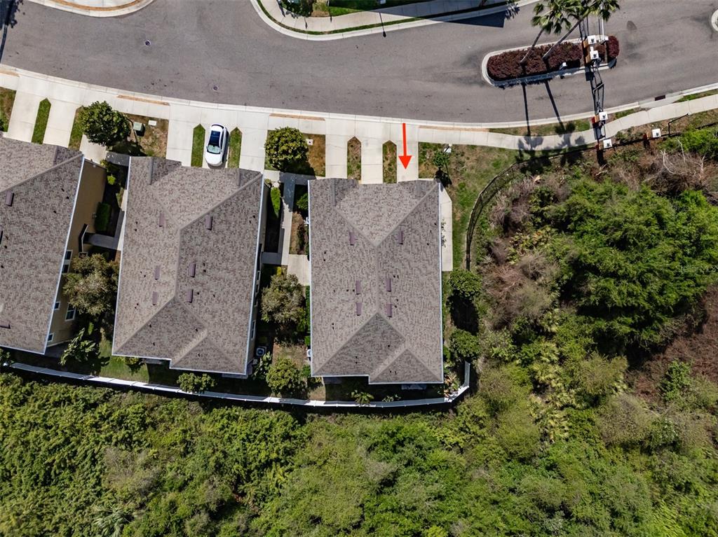 8726 Moonlit Meadows Loop Riverview, FL 33578 - Photo 43 of 48