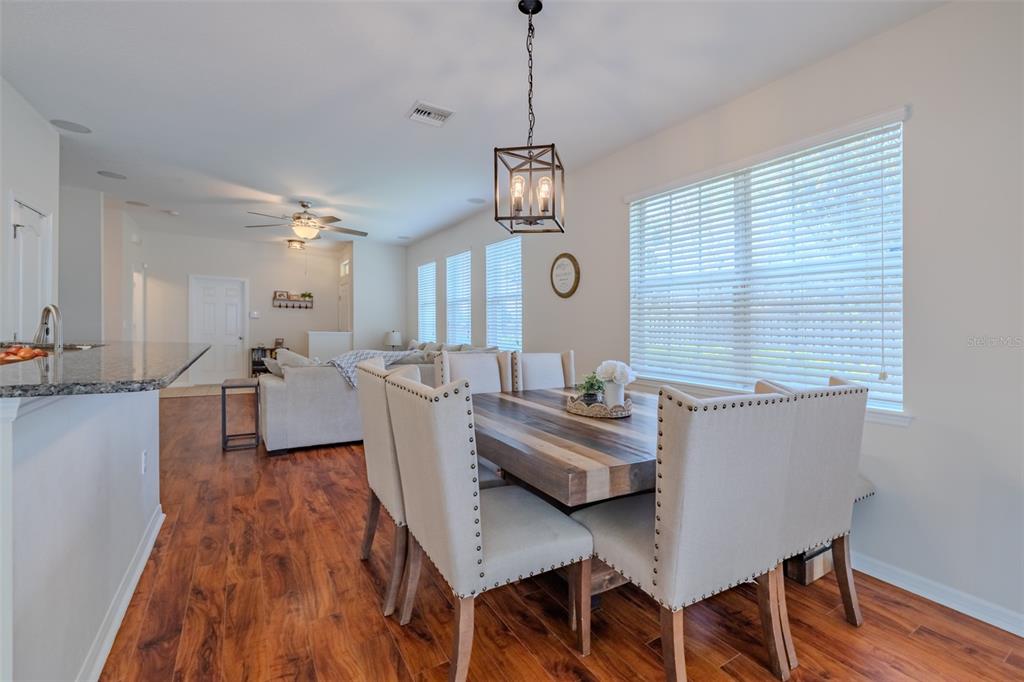 8726 Moonlit Meadows Loop Riverview, FL 33578 - Photo 10 of 48