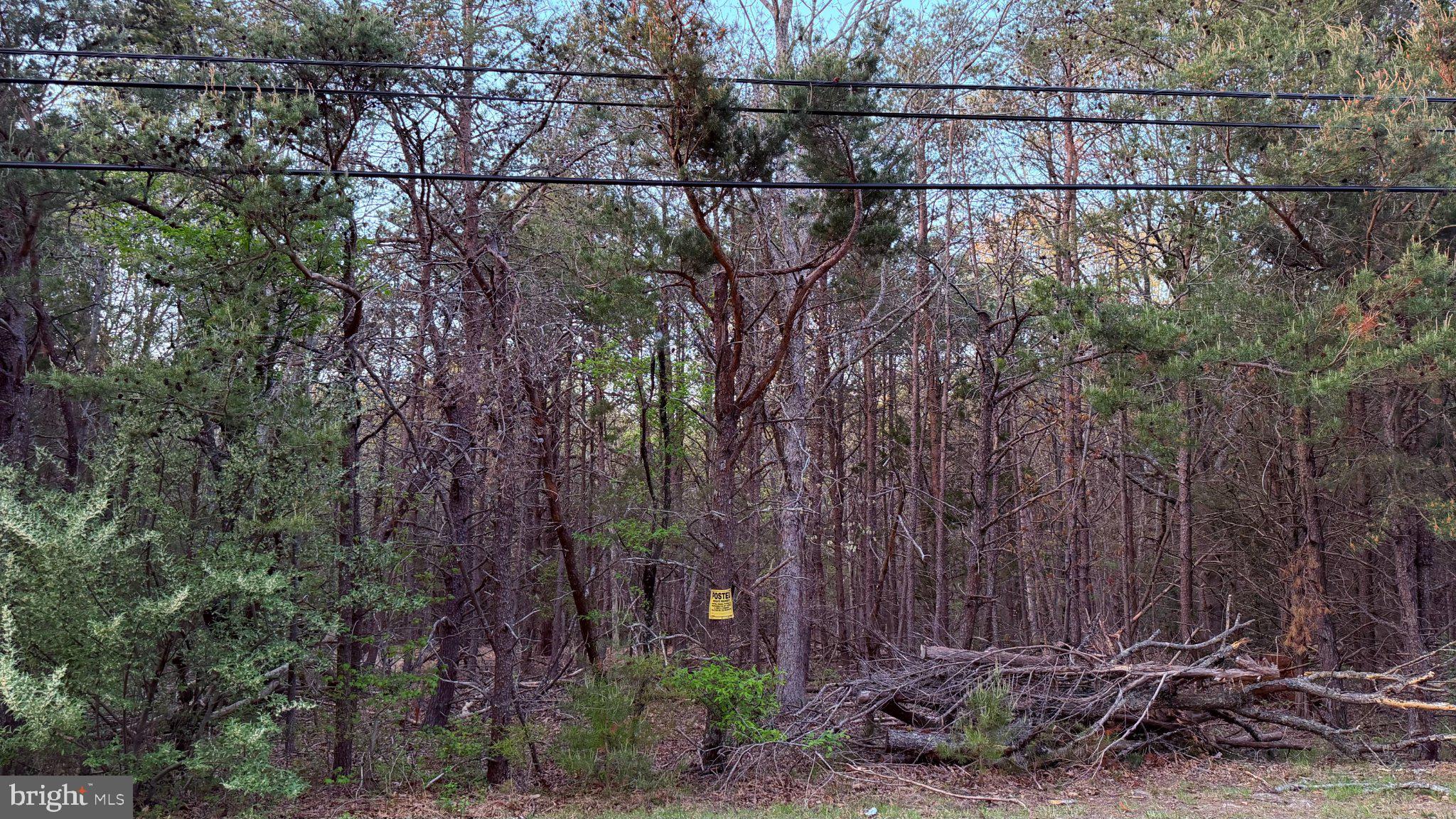 0 West Factory Road Cedarville, NJ 08311 - Photo 13 of 15 a view of a yard and a wooden fence