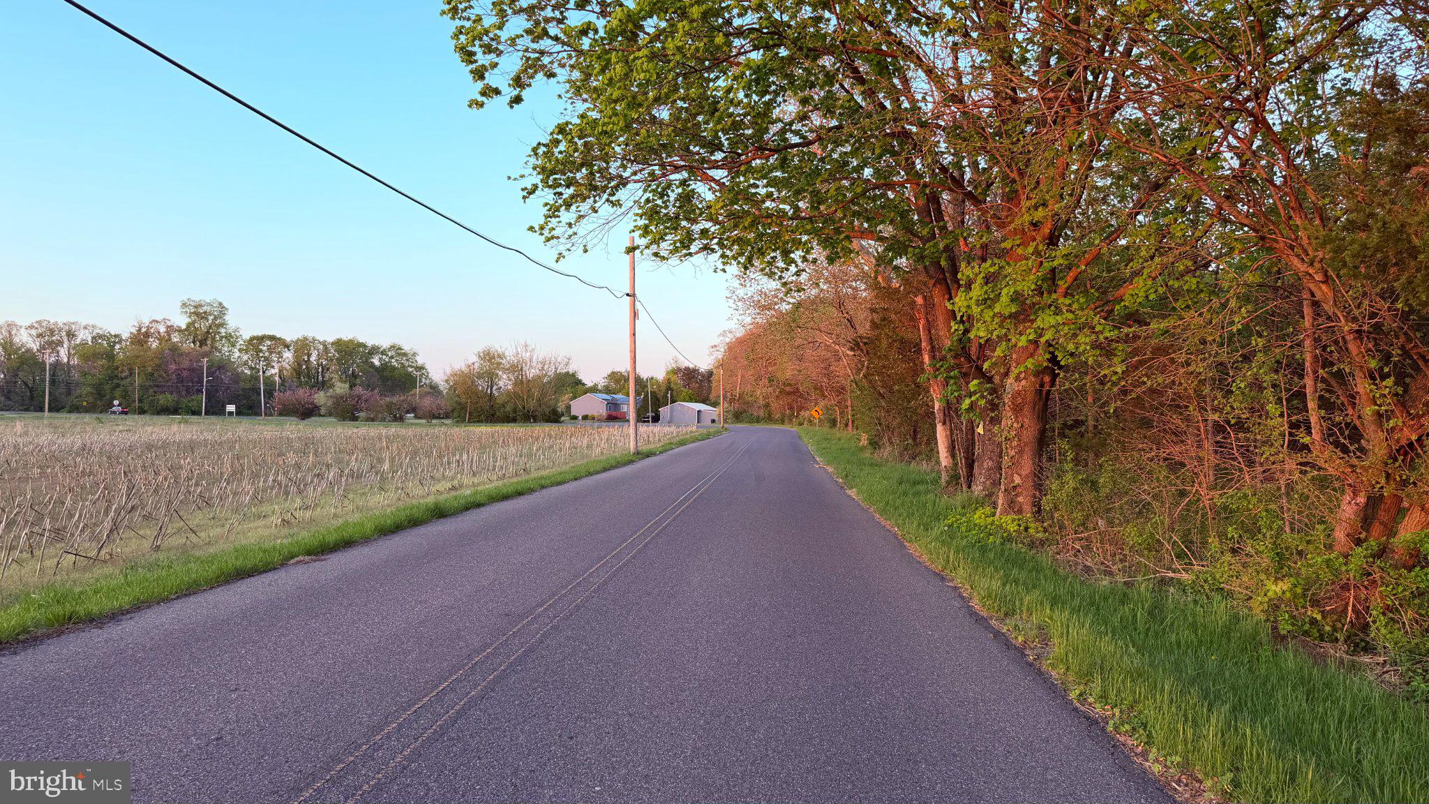 0 West Factory Road Cedarville, NJ 08311 - Photo 8 of 15 a view of a street