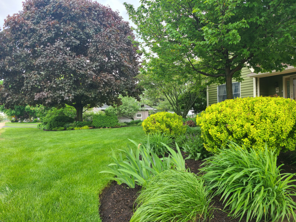 5995 West Clare Road Clare, IL 60111 - Photo 51 of 57