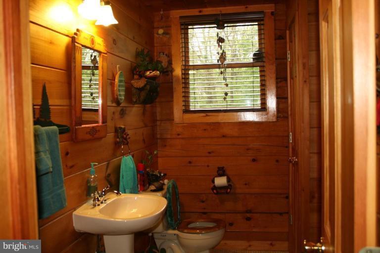 18399 Blue Ridge Mountain Road Bluemont, VA 20135 - Photo 3 of 26 a bathroom with a sink and a toilet