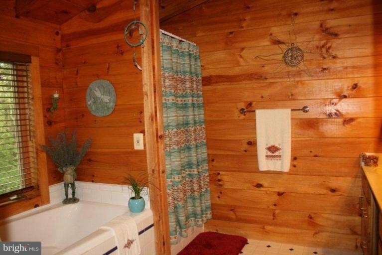18399 Blue Ridge Mountain Road Bluemont, VA 20135 - Photo 8 of 26 a bathroom with a sink and a shower