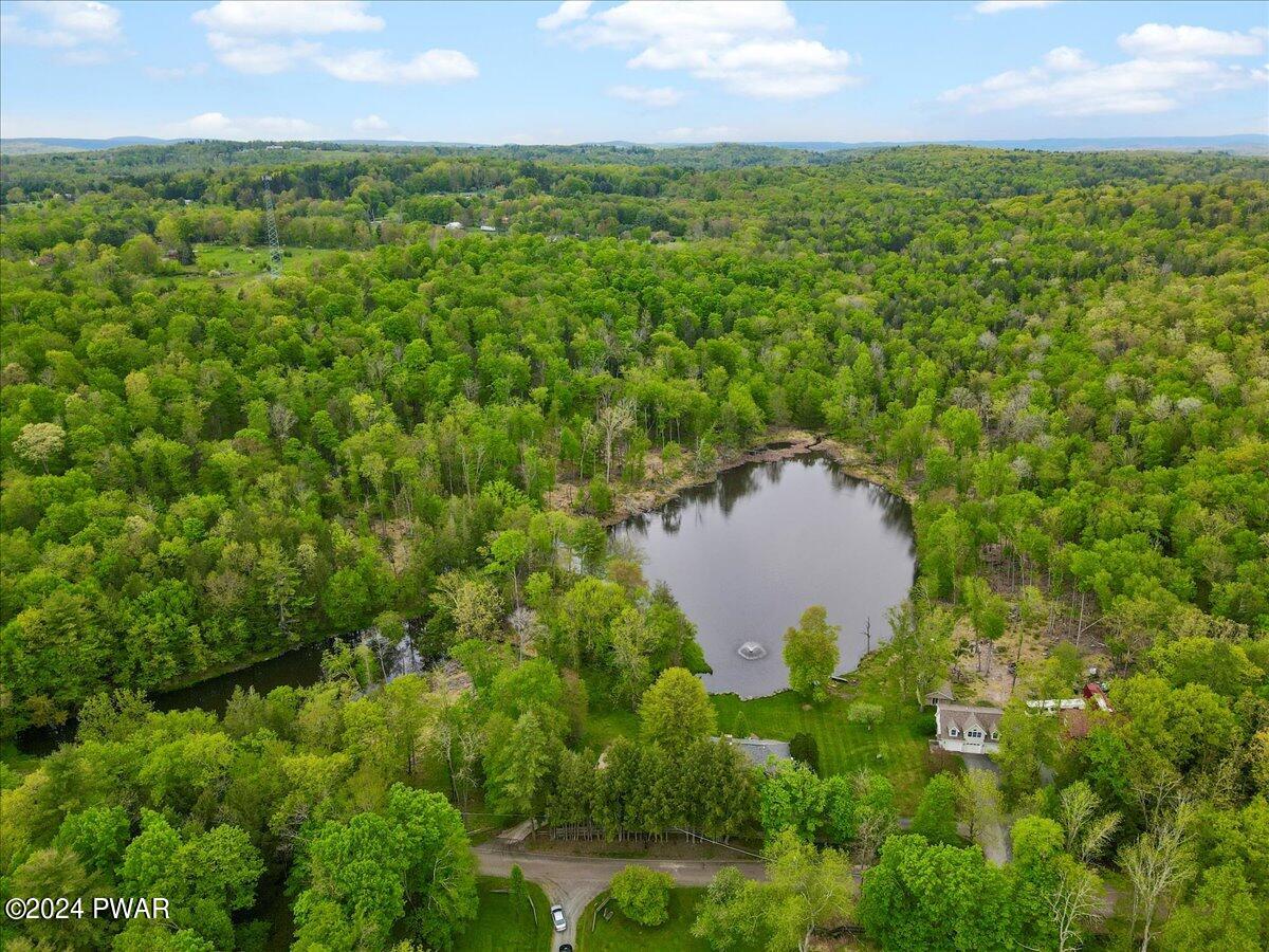 397 Plank Road Beach Lake, PA 18405 - Photo 95 of 103