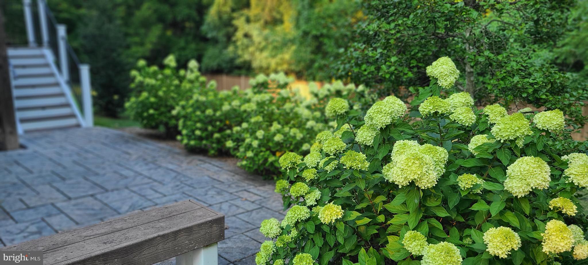 6701 Lumsden Street McLean, VA 22101 - Photo 41 of 57 a view of a garden with plants