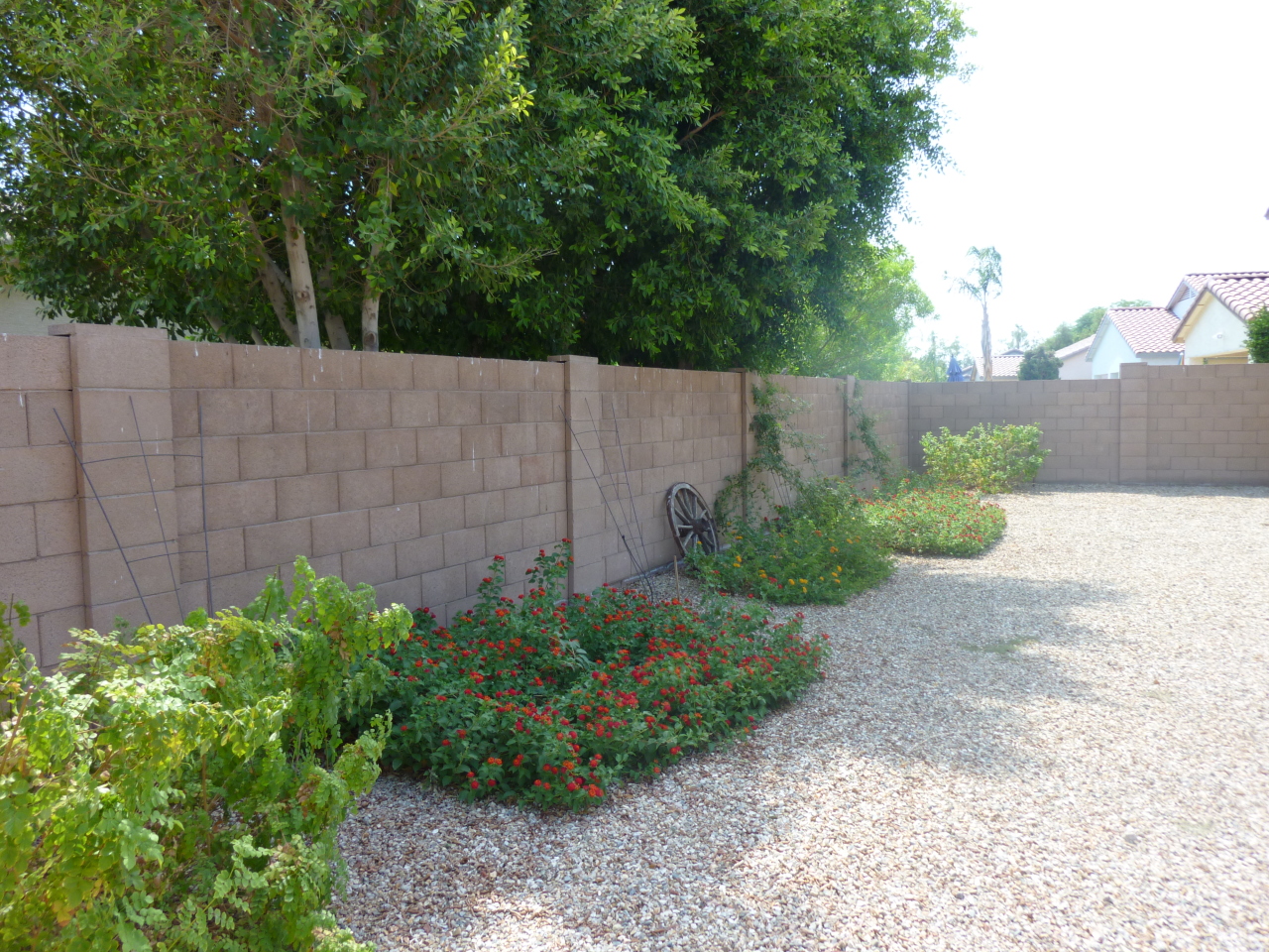 6911 West Del Rio Street Chandler, AZ 85226 - Photo 14 of 17 Picture Perfect Scenery-Green & Lush!