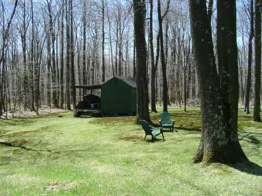624 Kuhntown Road Somerset, PA 15501 - Photo 5 of 8 Yard/Garden.
