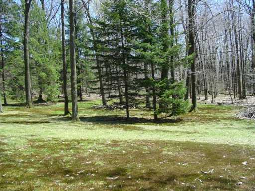 624 Kuhntown Road Somerset, PA 15501 - Photo 7 of 8 Other.