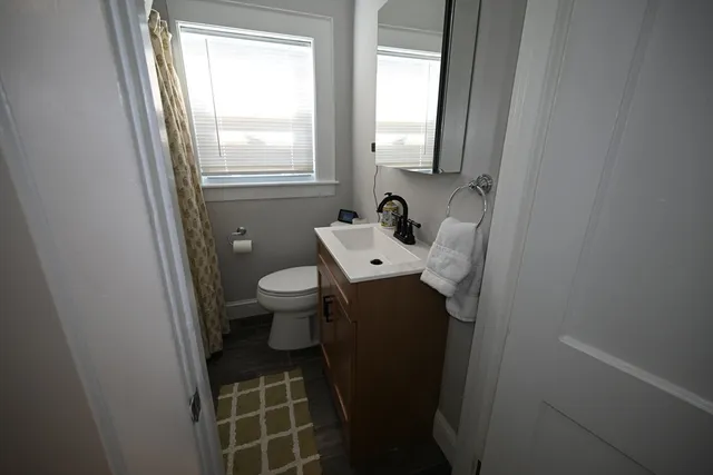 a bathroom with a sink and a toilet