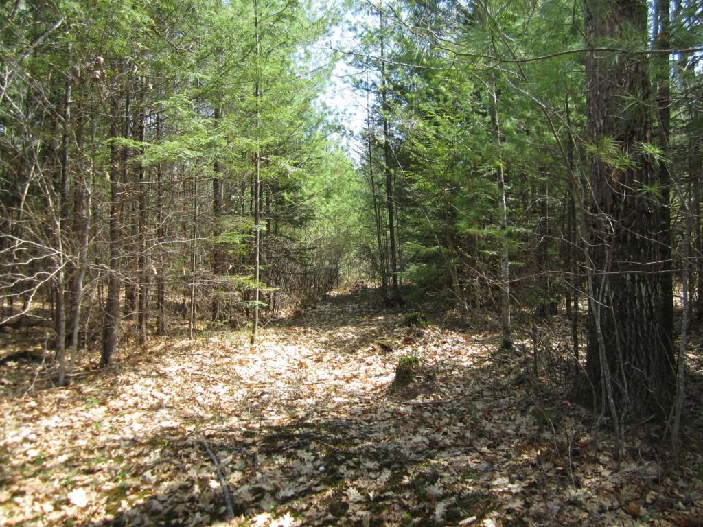 806 Lovell Road Harrison, ME 04040 - Photo 25 of 35 Photo